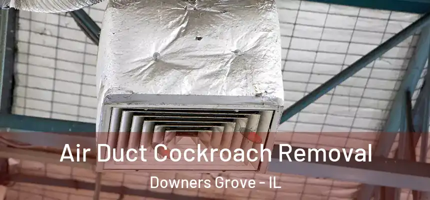  Air Duct Cockroach Removal Downers Grove - IL