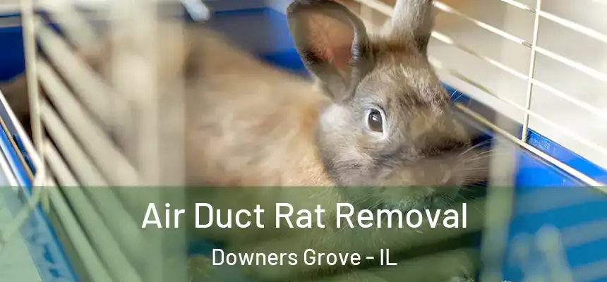  Air Duct Rat Removal Downers Grove - IL