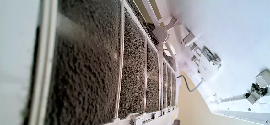 Preventive Air Duct Bacteria Removal in Downers Grove