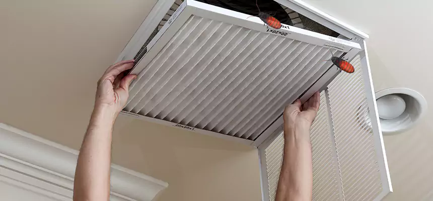 Preventive Cockroach-Proofing for Ducts in Downers Grove