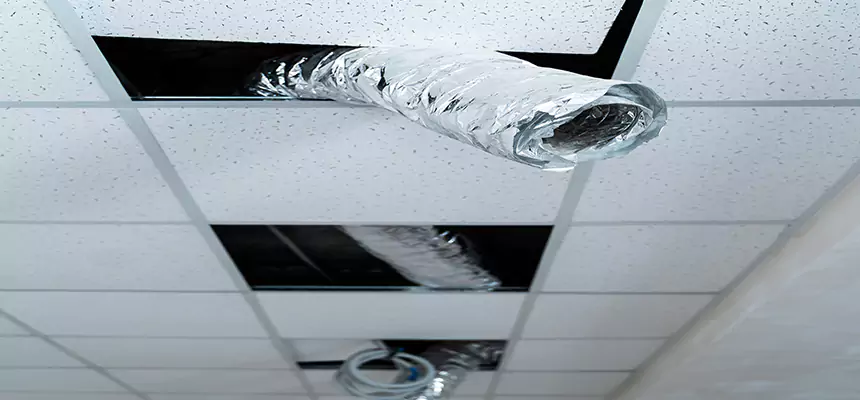 Our Air Duct Pet Hair Removal Services in Downers Grove, IL