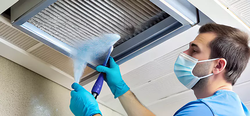 Proactive Dryer Vent & Auxiliary Duct Pollen Cleanup in Downers Grove, IL