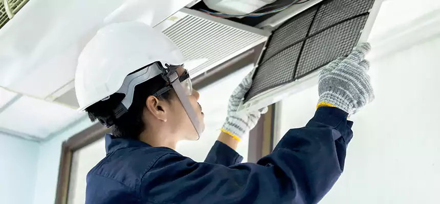 Our Mold & Mildew Removal from Air Ducts Services in Downers Grove, IL