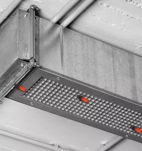 About Air Duct Cockroach Removal in Downers Grove, IL