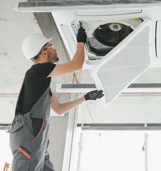 About Air Duct Rodent Removal in Downers Grove, IL