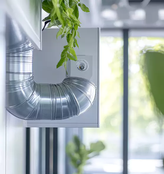 Professional Eco-Safe Dryer Vent Cleaning in Downers Grove, IL