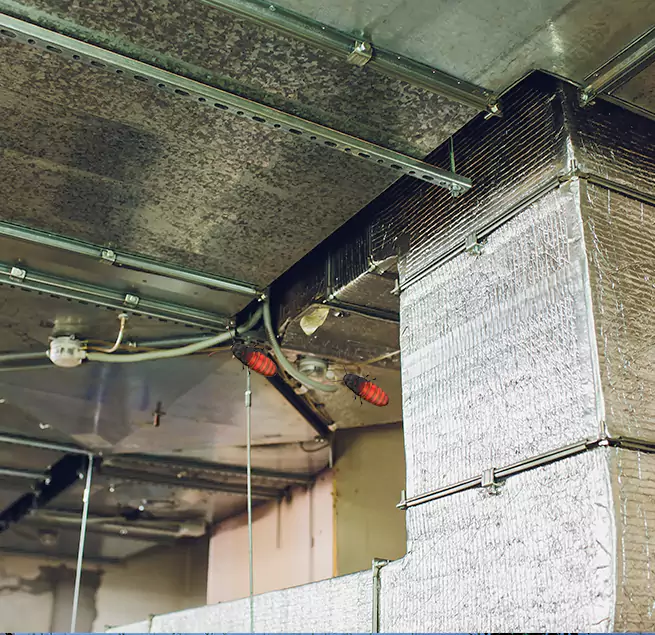 Why Homeowners & Businesses Trust Us in Downers Grove, IL?