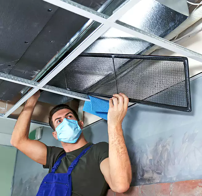 Why Homeowners Businesses Trust Us in Downers Grove, IL