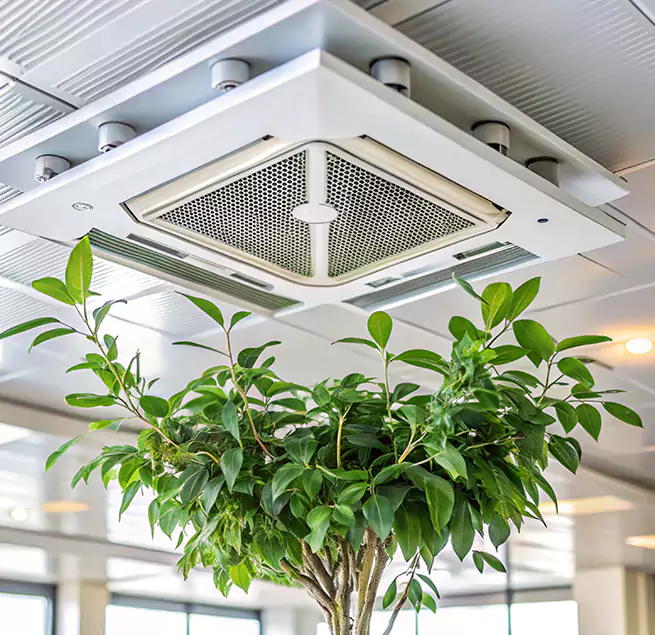 Why Homeowners & Businesses Trust Us in Downers Grove, IL?