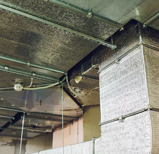 Why Homeowners & Businesses Trust Us in Downers Grove, IL?